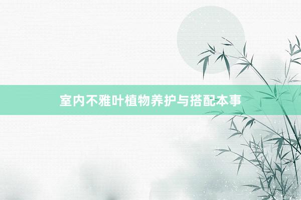室内不雅叶植物养护与搭配本事