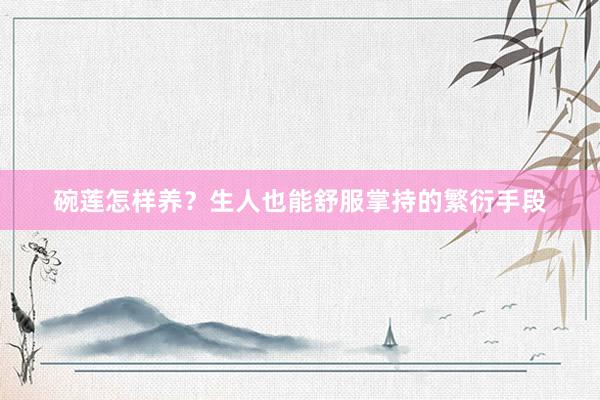 碗莲怎样养？生人也能舒服掌持的繁衍手段