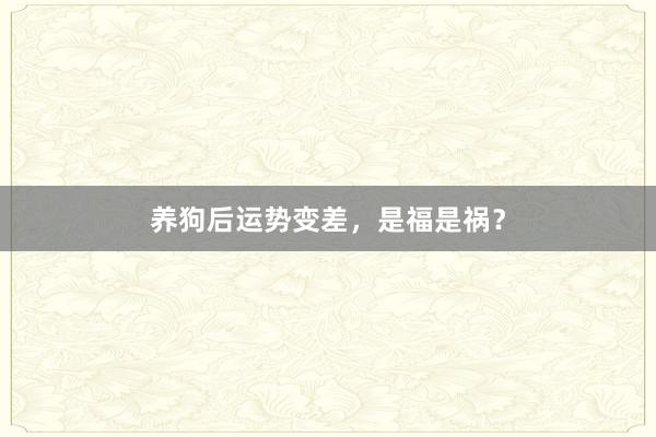 养狗后运势变差，是福是祸？